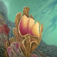 Calyx. Oil on linen, 80 x 100 cm. 2010