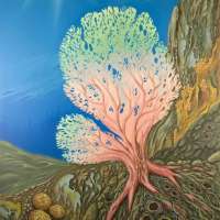 Earth Fan. Oil on linen, 80 x 100 cm. 2010