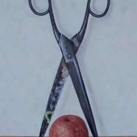 Scissors