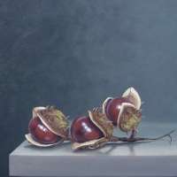 Chestnut