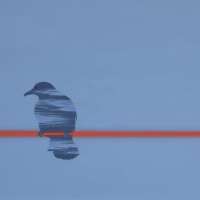 Glow in the dark. Oil on panel.25 x 30 cm. 2014